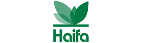 Haifa